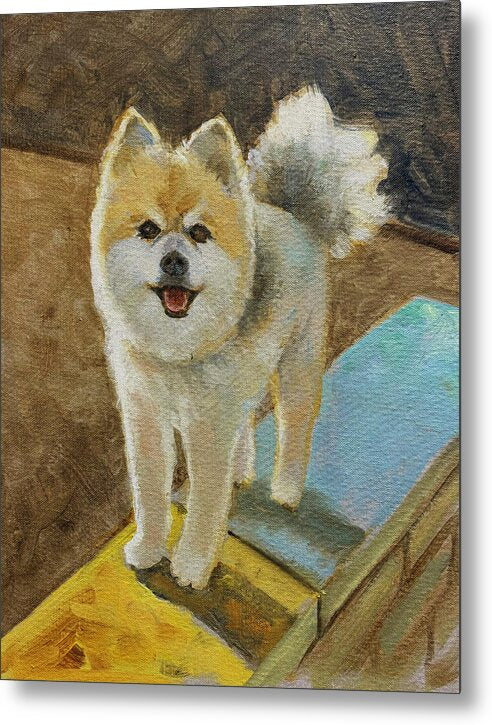 Akita - Metal Print