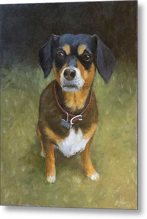 Jax - Metal Print