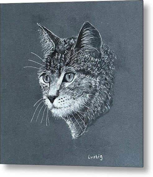 Miss Kitty - Metal Print