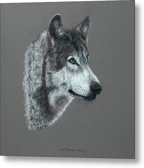 Wolfgang - Metal Print