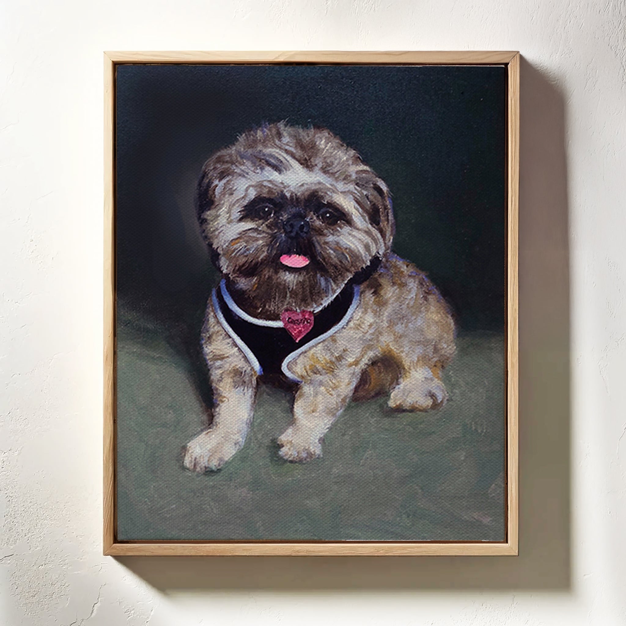 Shih Tzus