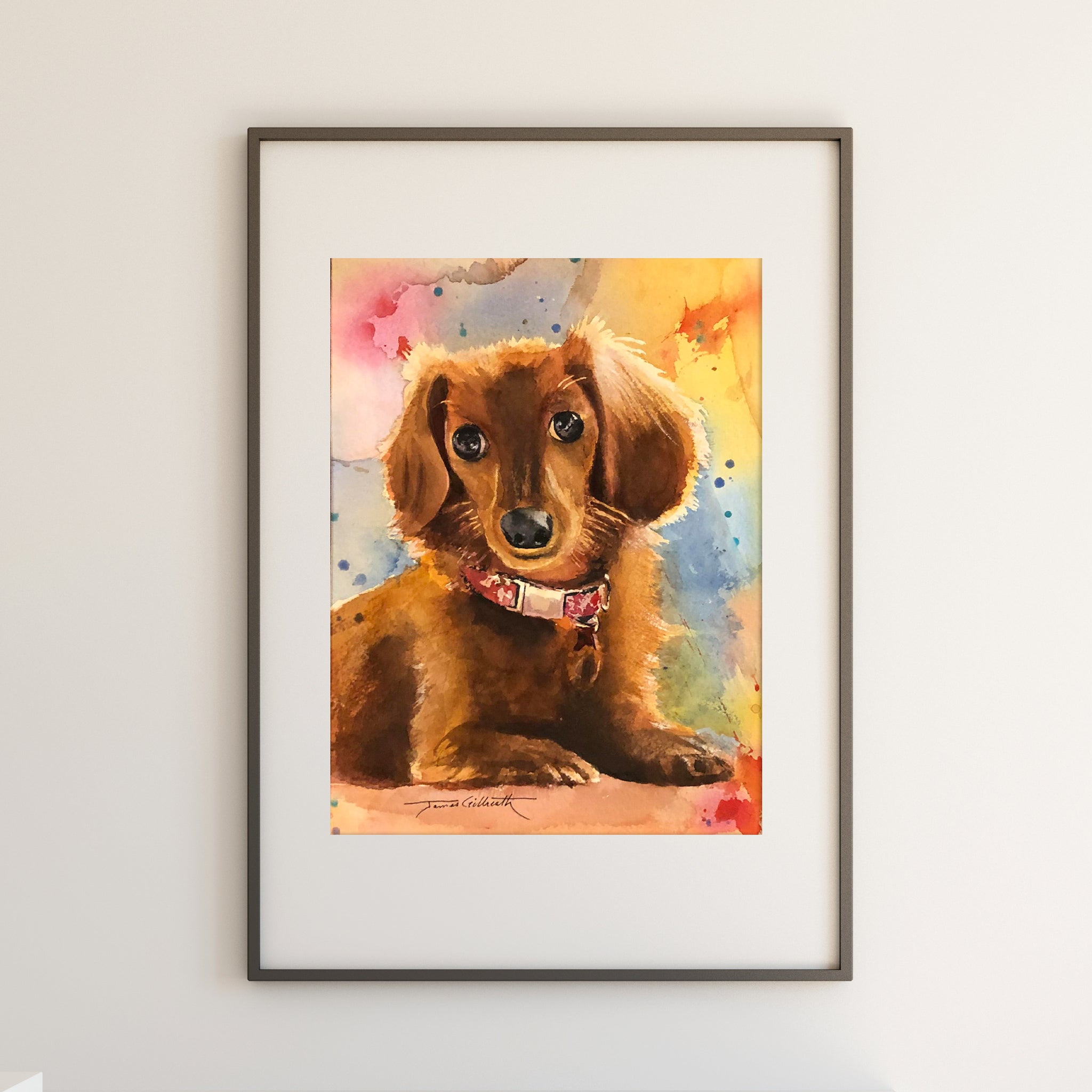 Dachshunds