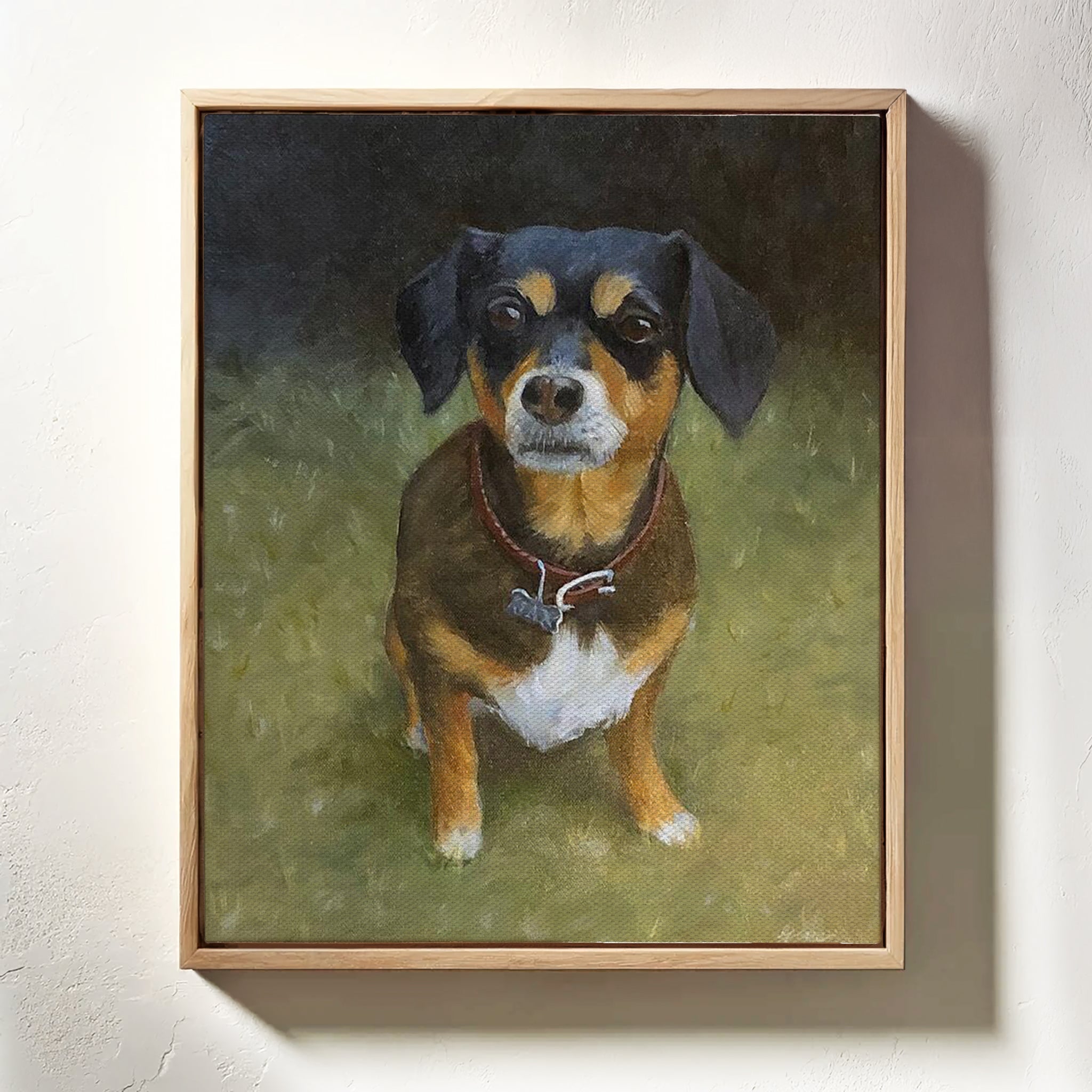 Terriers & Terrier Mixes