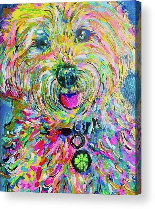 Luna - Acrylic Print