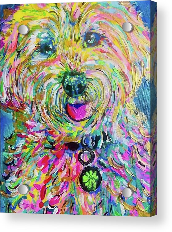 Luna - Acrylic Print