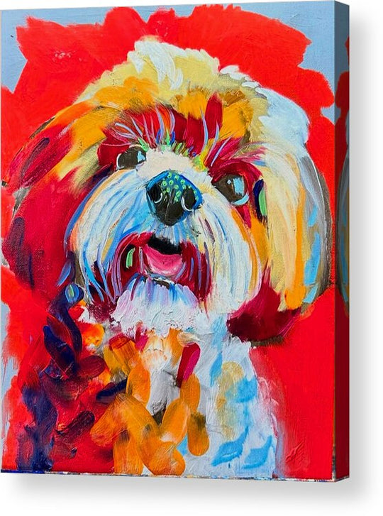 Ada Claire - Acrylic Print