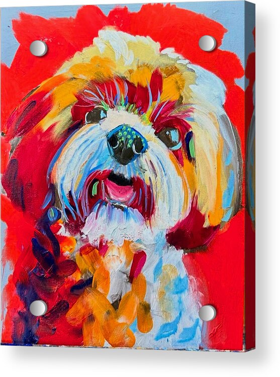 Ada Claire - Acrylic Print