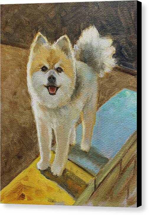 Akita - Canvas Print