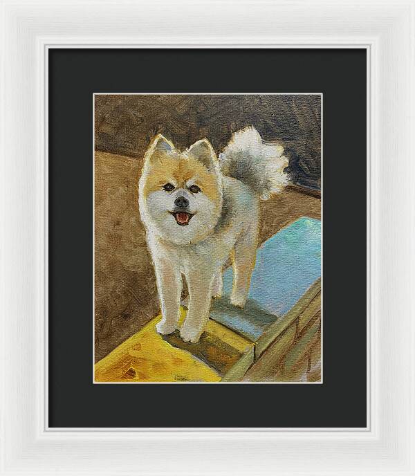 Akita - Framed Print