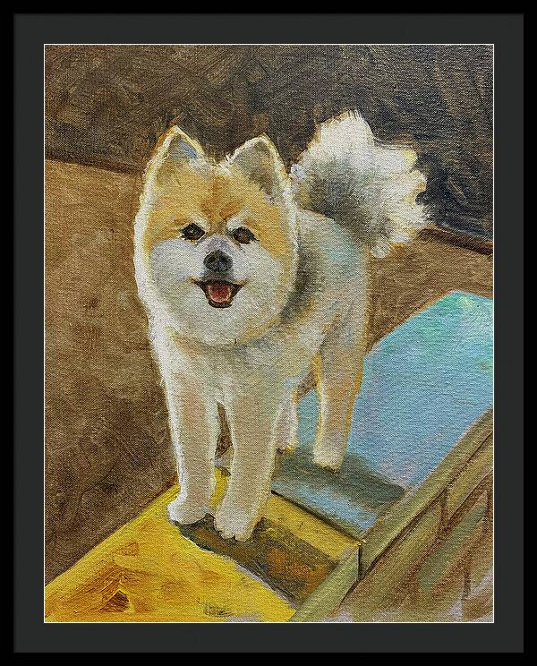 Akita - Framed Print