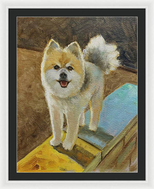 Akita - Framed Print