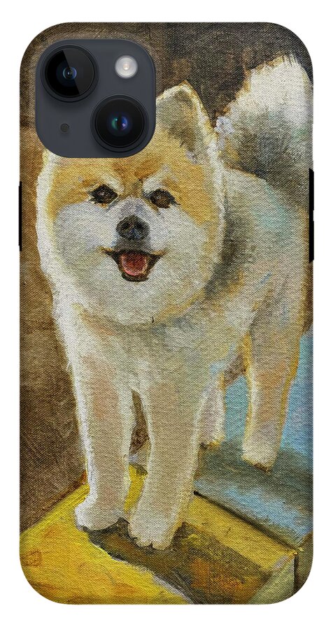 Akita - Phone Case