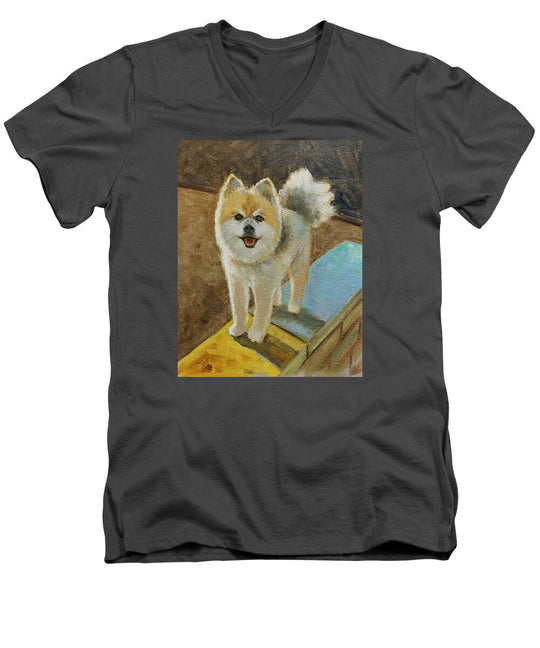 Akita - Men's V-Neck T-Shirt