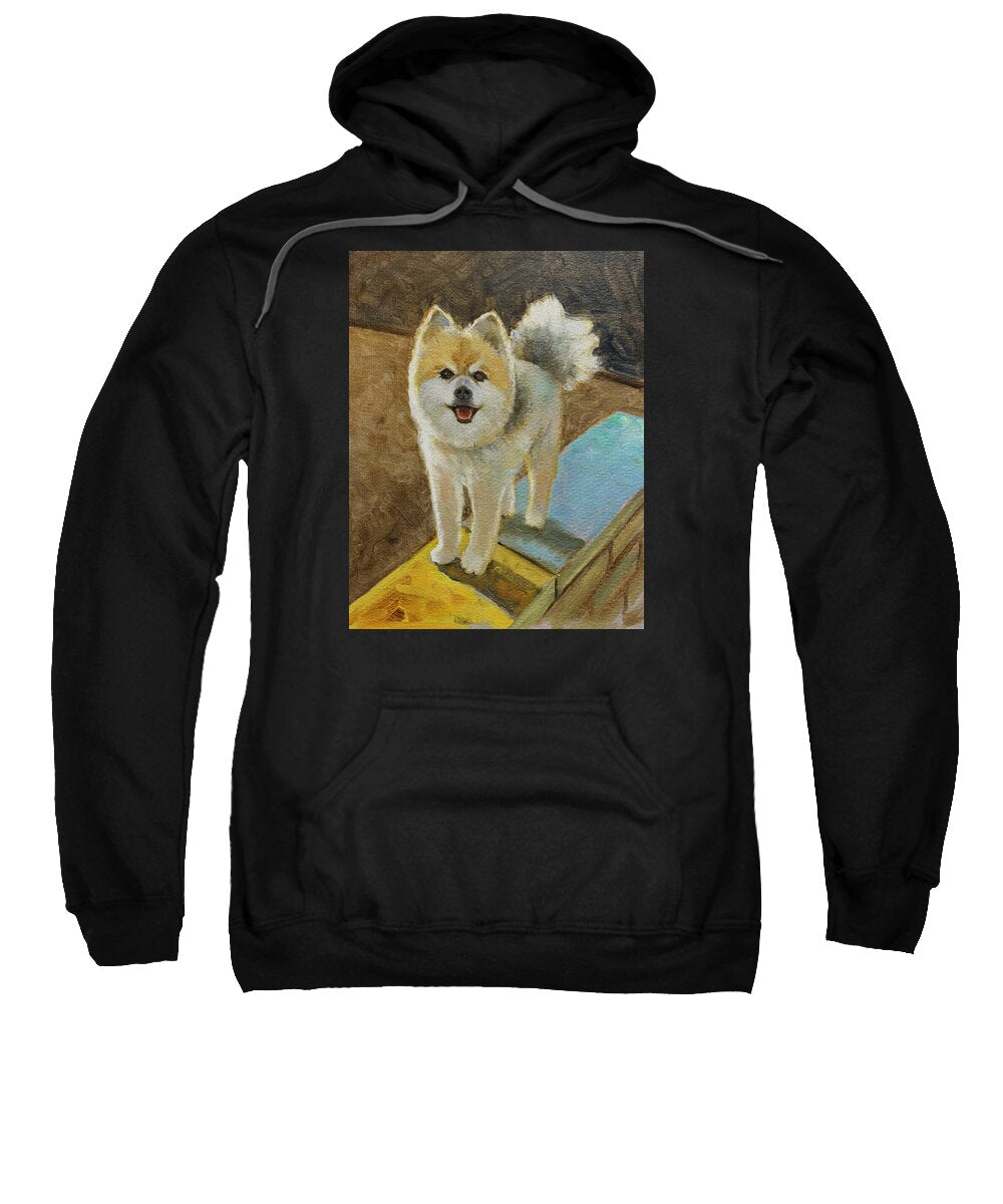 Akita - Sweatshirt