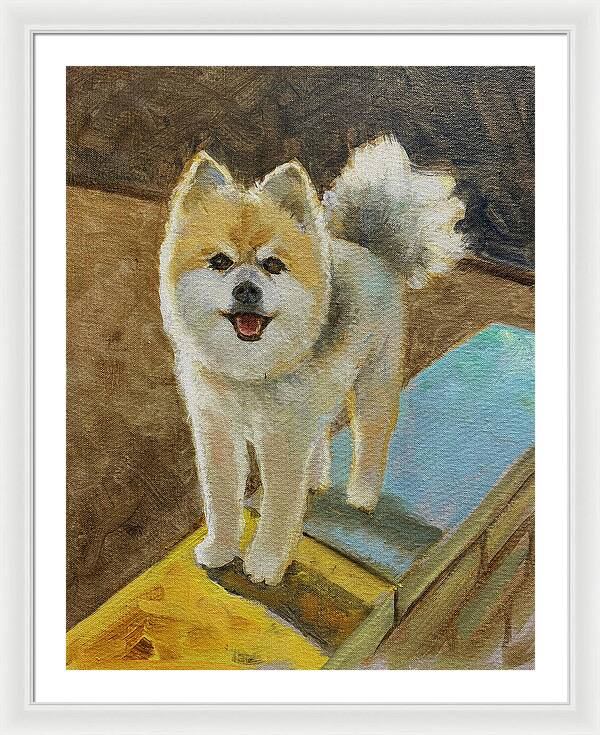 Akita - Framed Print