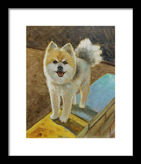 Akita - Framed Print