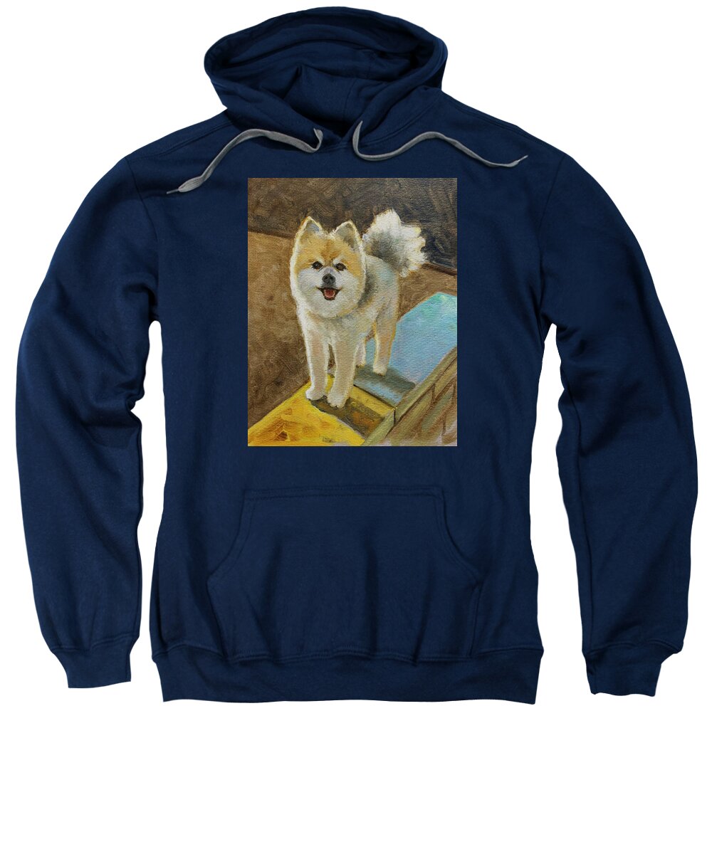 Akita - Sweatshirt