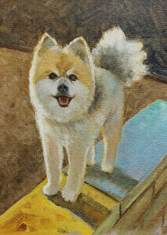 Akita - Puzzle