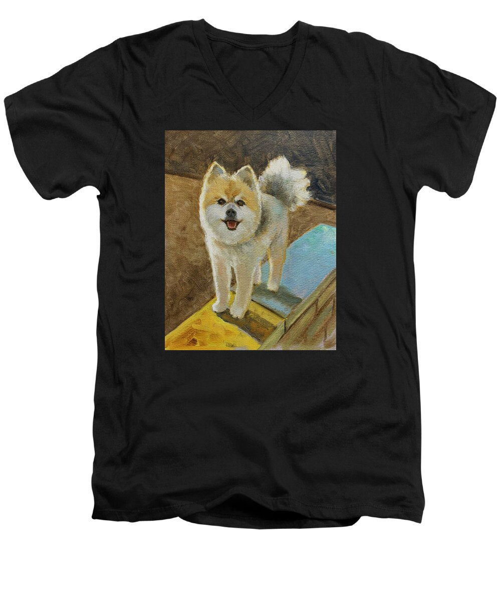 Akita - Men's V-Neck T-Shirt