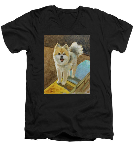Akita - Men's V-Neck T-Shirt