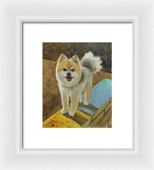 Akita - Framed Print