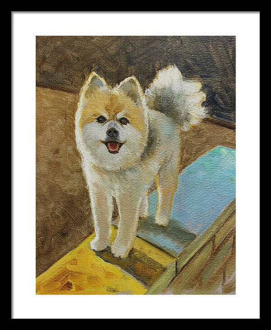 Akita - Framed Print