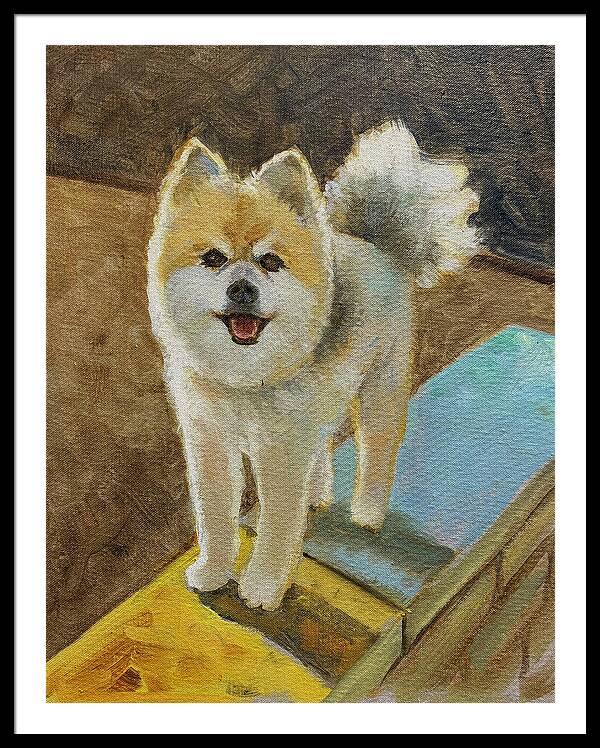 Akita - Framed Print