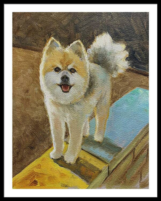Akita - Framed Print