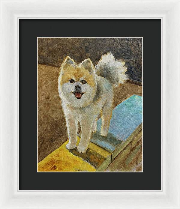 Akita - Framed Print