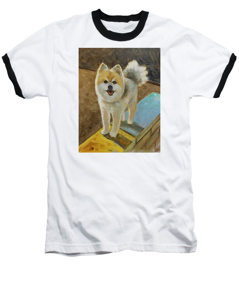Akita - Baseball T-Shirt