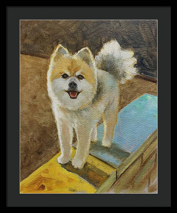 Akita - Framed Print