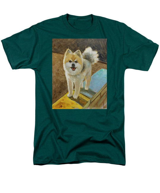 Akita - Men's T-Shirt  (Regular Fit)