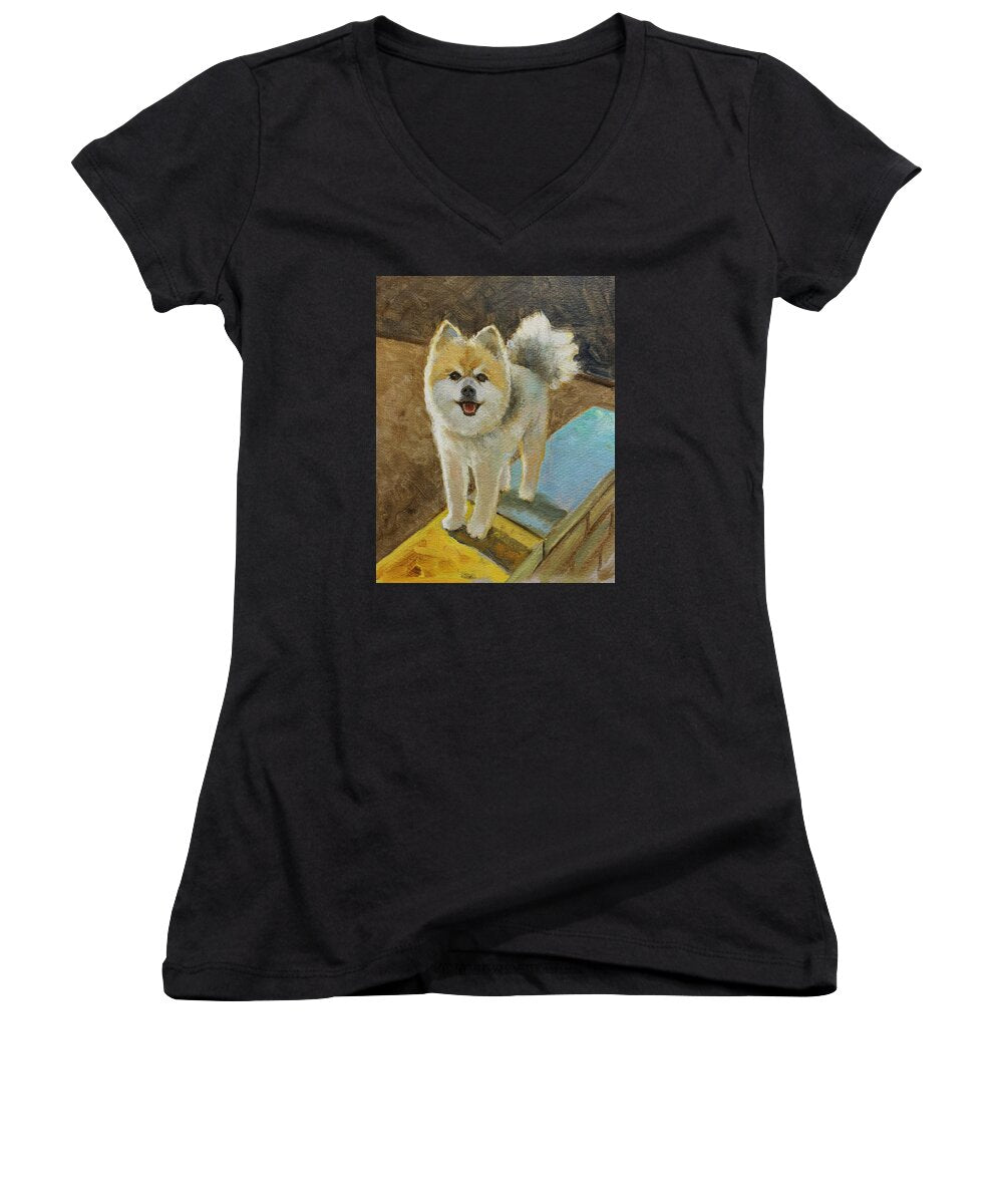 Akita - Women's V-Neck