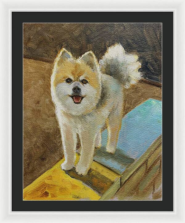 Akita - Framed Print