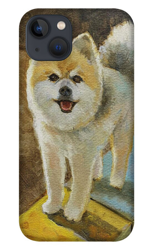 Akita - Phone Case