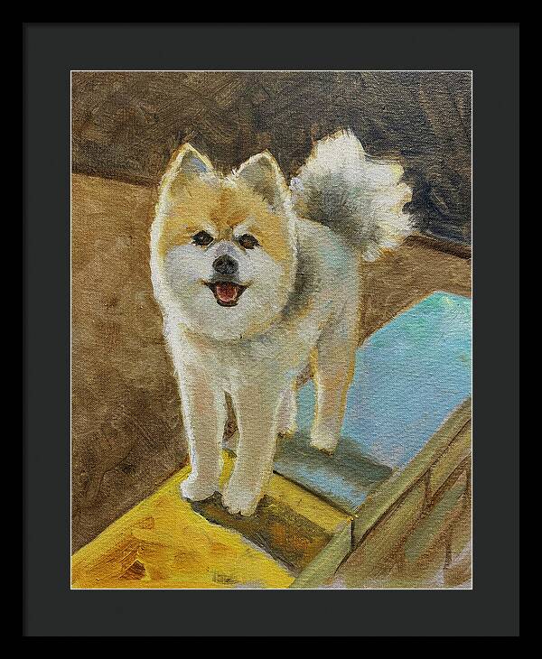 Akita - Framed Print