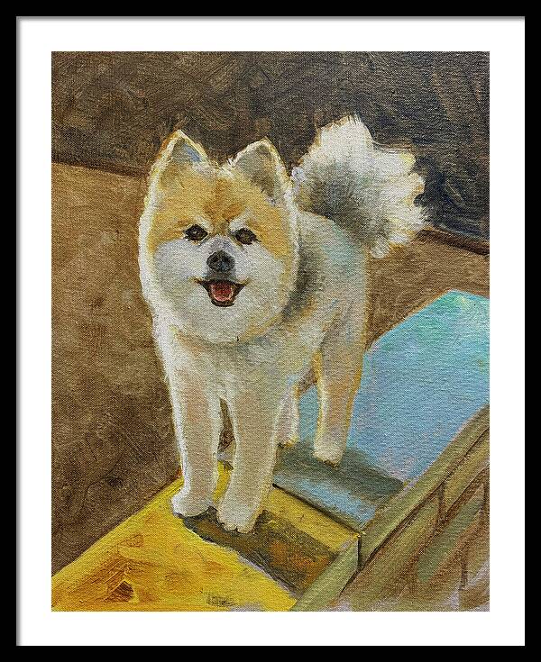 Akita - Framed Print