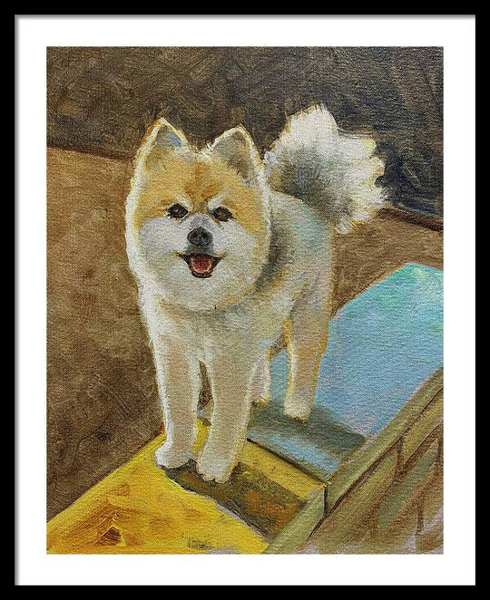 Akita - Framed Print