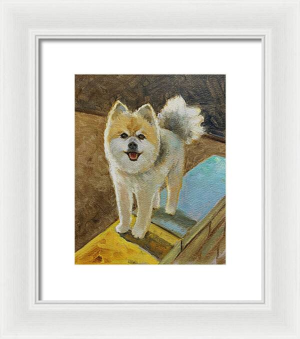 Akita - Framed Print