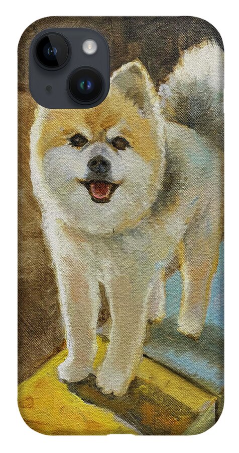 Akita - Phone Case