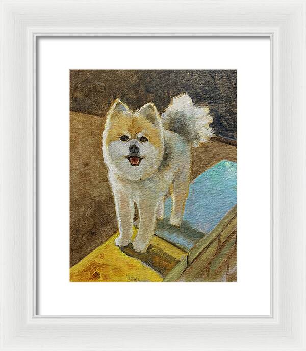 Akita - Framed Print