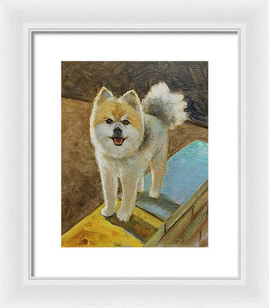 Akita - Framed Print