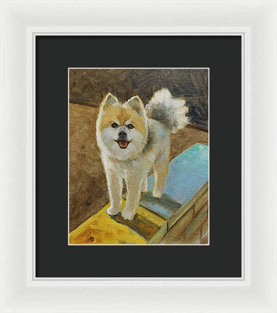 Akita - Framed Print