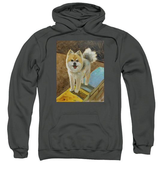 Akita - Sweatshirt