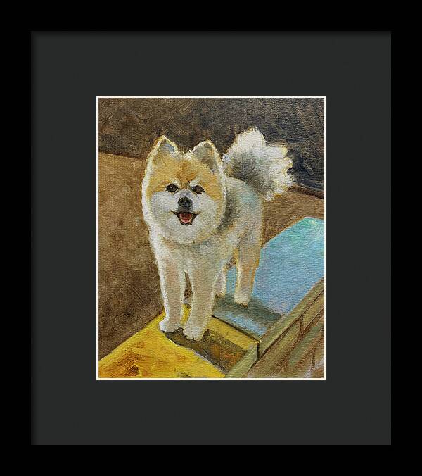 Akita - Framed Print
