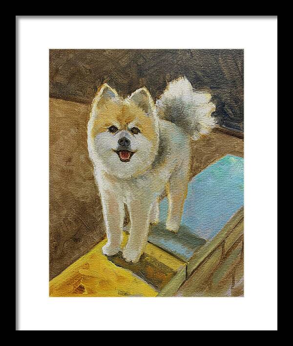Akita - Framed Print