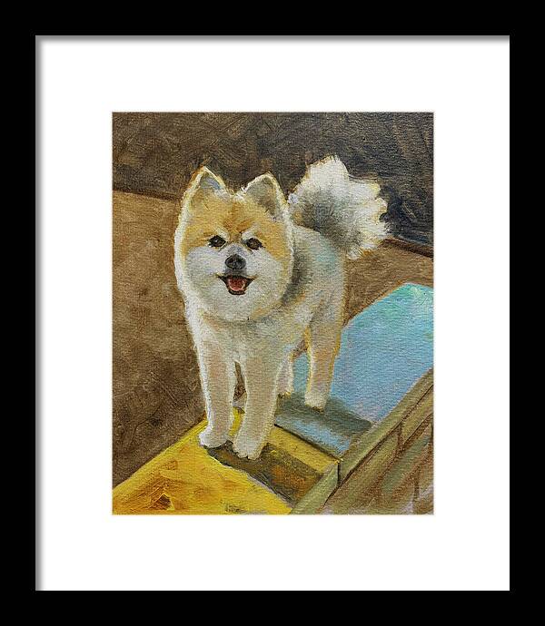 Akita - Framed Print