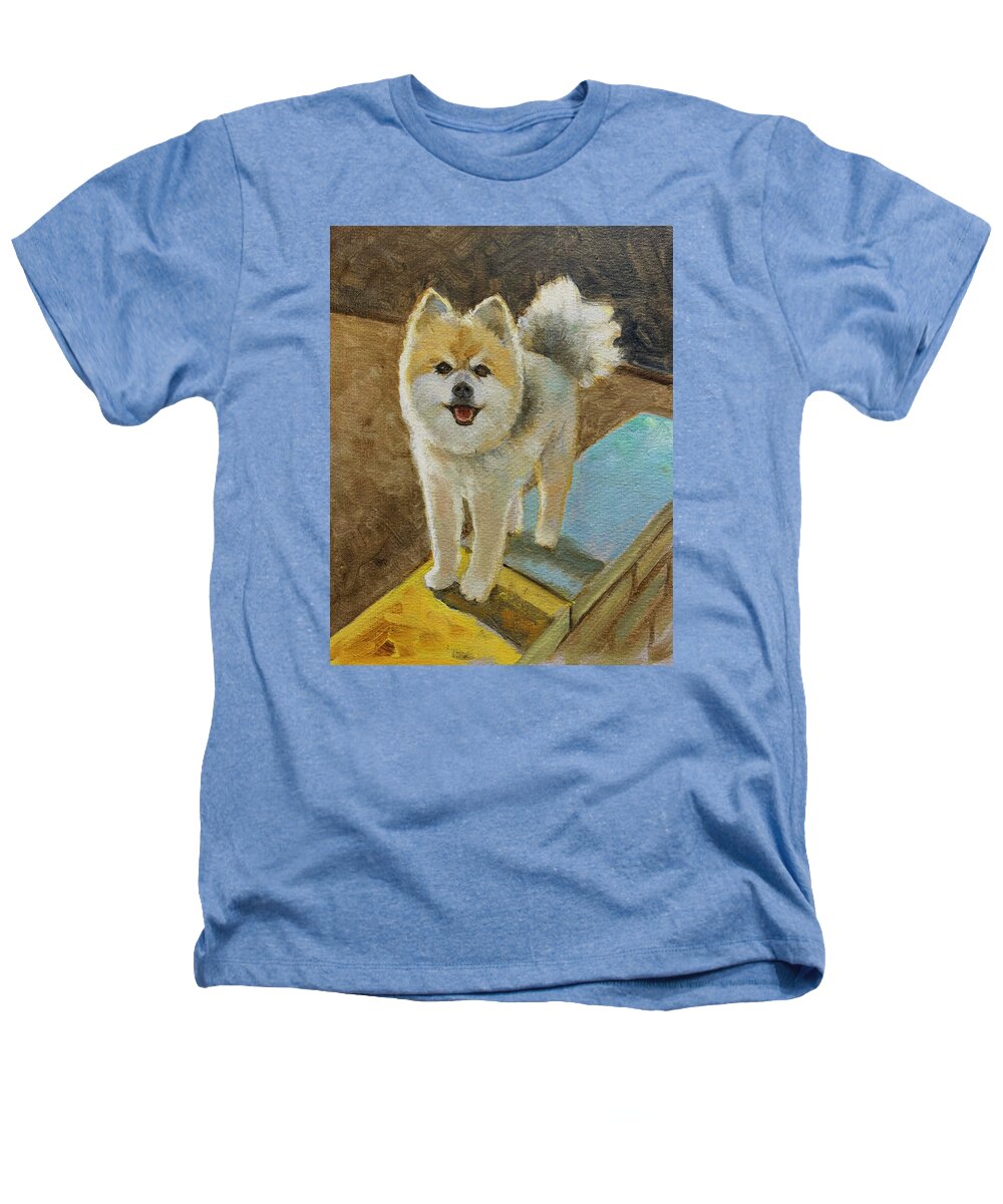 Akita - Heathers T-Shirt