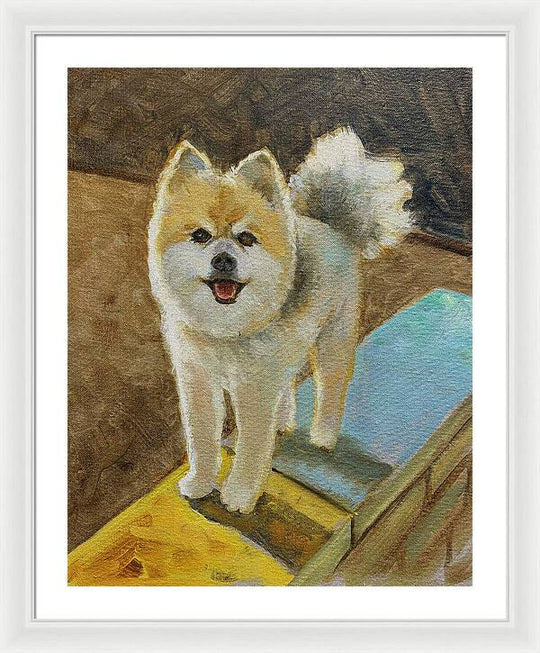Akita - Framed Print