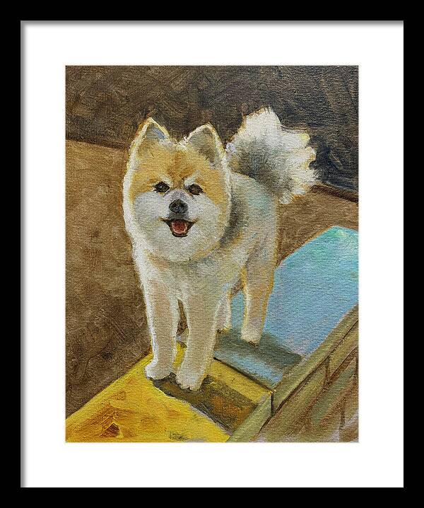 Akita - Framed Print
